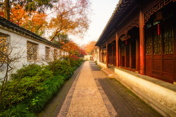 Obraz premium Oriental garden morning landscape