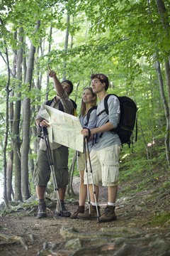 Hikers consulting map