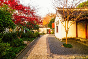 Oriental garden morning landscape