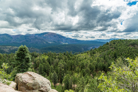 Cebollita Mesa