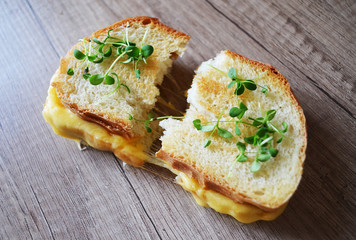 Fresh sandwich with cheese and herbs