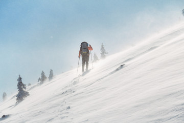 Ski touring in extreme winter conditions at snow storm and blizzard