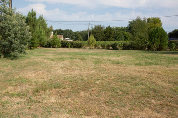 Very large green garden with lawn burned by the sun