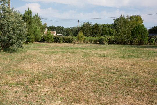 Very Large Green Garden With Lawn Burned By The Sun