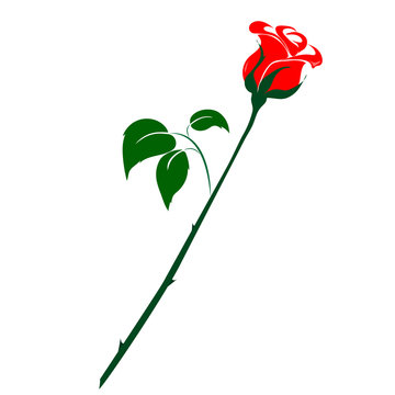 recommend clip art: Flower red rose on a white background