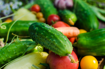 Vegetables