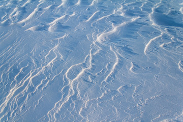 texture of the snow dune patterns on a sunny day in backlit