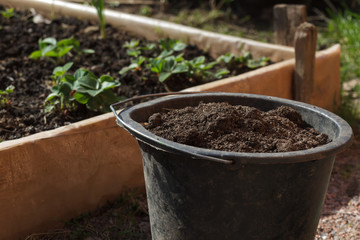 Bucket to the ground. Preparing for spring planting