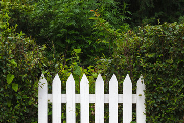 White low fence on background of green bushes