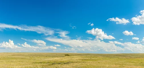 Foto op Plexiglas The Great Plains © Brian