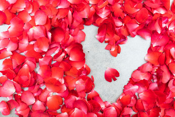 Heart shape of red petals on white background