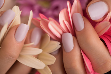 woman hands with manicure holding flower - obrazy, fototapety, plakaty