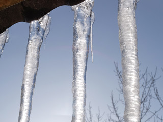 Three large icicles on a background of blue sky