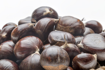 Chestnut close-up watch
