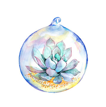 Succulent in glass ball. Watercolor