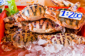 Obraz na płótnie Canvas row of crabs in the Asian market