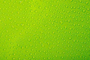 Fototapeta na wymiar water drops on green background