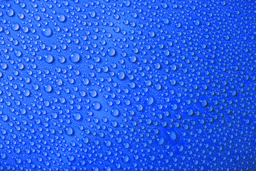 Fototapeta na wymiar Water drops on the blue background