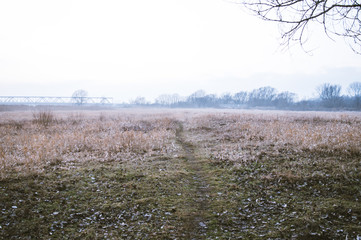 Ścieżka w polu 2 © Piotr