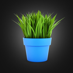 flowerpot with green grass on black gradient bakground 3d