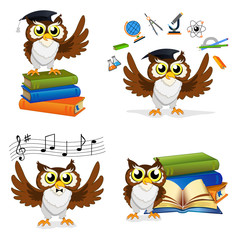 Fototapeta premium Wise Owl Set