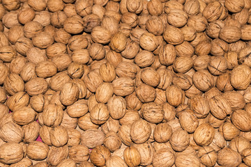Walnut background