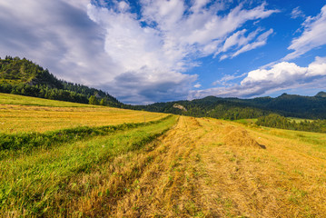 Idyllic rural scenery with fields in the environment of mountains and clouds on the blue sky. Pieniny National Park. Malopolska, Poland.