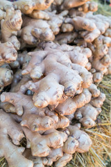 Fresh Ginger