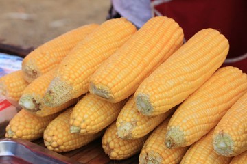 Boil corn at market