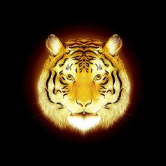 The Fiery majestic tiger, painted smooth lines, on a dark background	