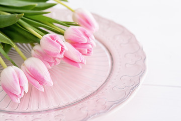 Closeup of pink tulips on pink plate