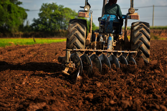 Prepare soil for growing tobacco by tractor.