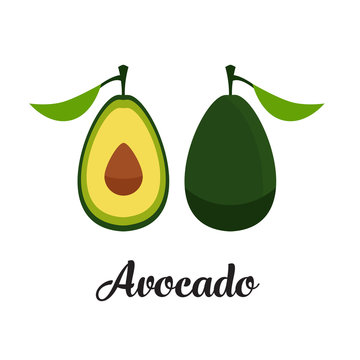Vector editable illustration depicting avocado