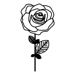 figure rose with oval petals and leaves icon, vector illustraction design