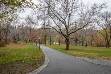 Central Park Walkway during late autumn - New York, USA