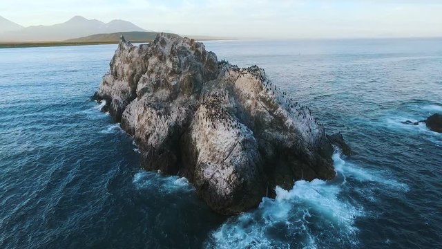 Flying over the cliff into the sea. Birds on a rock in the sea. Island with birds in the ocean