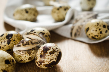 Fresh Organic Quail Eggs on Wooden Table.