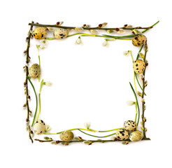Spring frame of twigs willow tree with catkins, snowdrops (Galanthus nivalis) and quail eggs on white background with space for text. Top view, flat lay