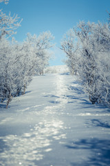 A beautiful white landscape of a snowy Norwegian winter day with footprints