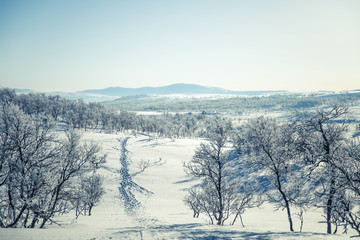 A beautiful white landscape of a snowy Norwegian winter day with footprints