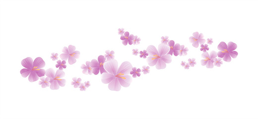 Naklejka na ściany i meble Purple flying flowers isolated on white. Sakura flowers. Cherry blossom. Vector 