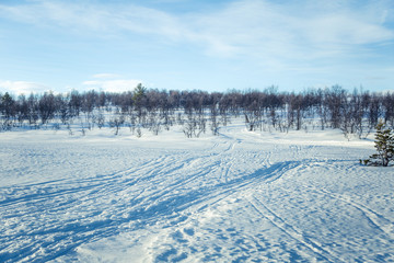 A beautiful white landscape of a snowy Norwegian winter day with skiing tracks