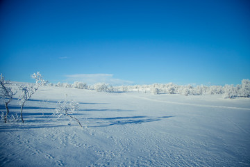 Fototapeta na wymiar A beautiful white landscape of a snowy Norwegian winter day with skiing tracks