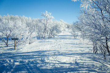 A beautiful white landscape of a snowy Norwegian winter day with skiing tracks