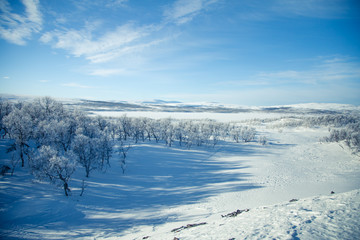 A beautiful white landscape of a snowy Norwegian winter day with skiing tracks