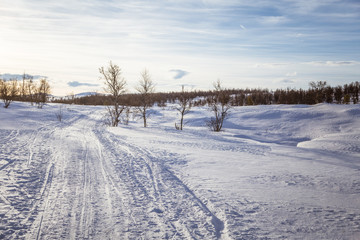 Fototapeta na wymiar A beautiful white landscape of a snowy Norwegian winter day with tracks for snowmobile or dog sled