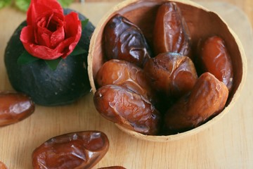 date palm