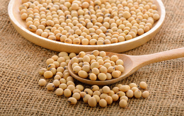 dried soybean on wooden spoon