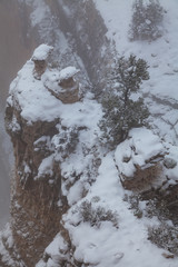 Grand Canyon South Rim Winter Snow