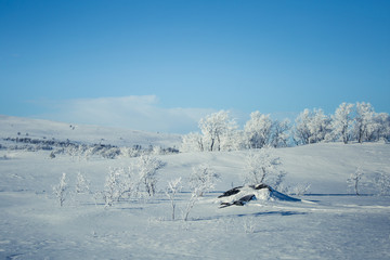 A beautiful white landscape of a snowy Norwegian winter day